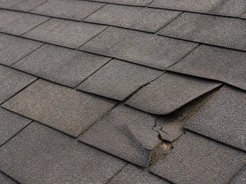 Worn asphalt shingles curling at the edges on an aging roof