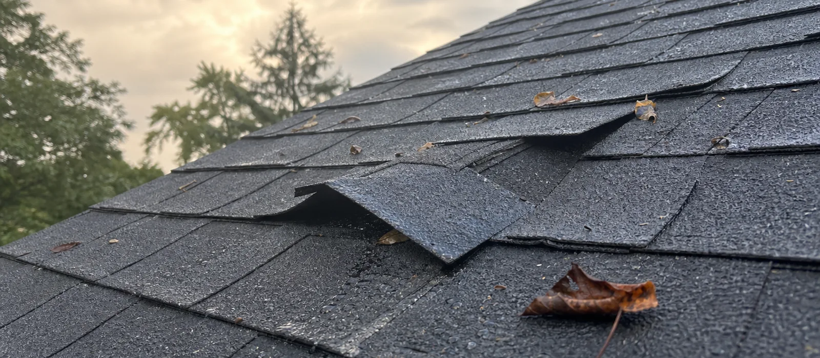 Lifted asphalt shingles and wet leaves after a storm