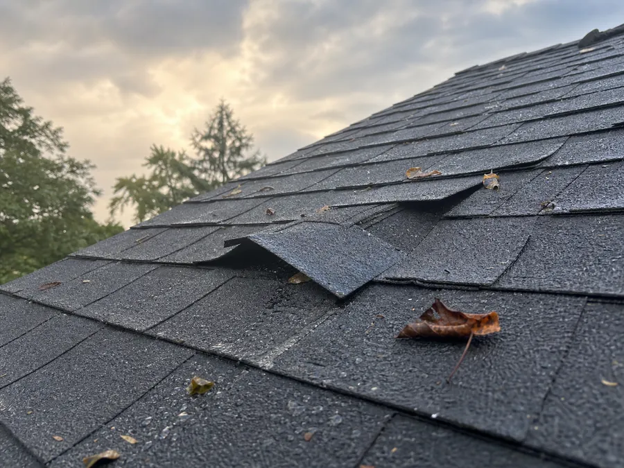 Lifted asphalt shingles and wet leaves after a storm