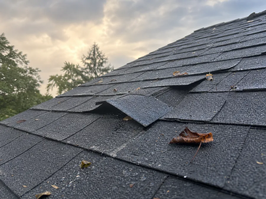 Lifted asphalt shingles and leaves after a storm